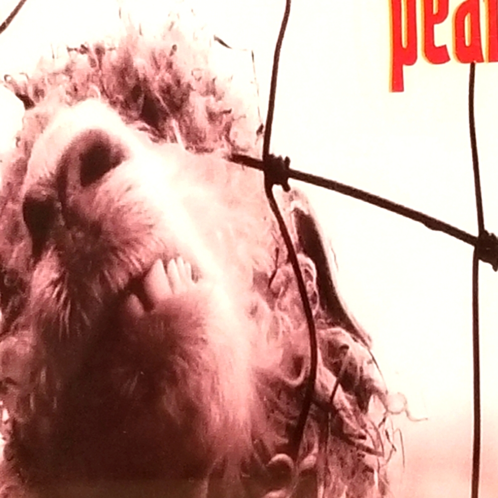 Pearl Jam Vs. CD ORIGINAL 1993 Epic, Sony